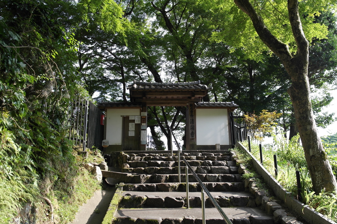 Japanese inspiration